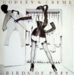 Birds Of Prey - Godley + Creme