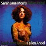 Fallen Angel - Sarah Jane Morris