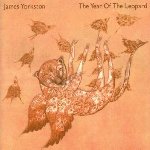 The Year Of The Leopard - James Yorkston
