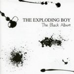 The Black Album - Exploding Boy