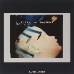 Flesh And Machine - Daniel Lanois